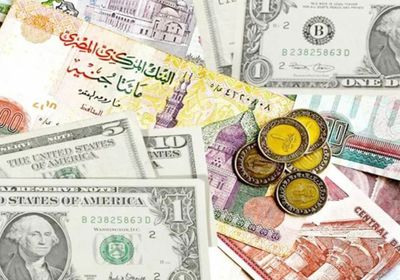 استقرار سعر صرف الدولار في مصر عند 16.07 جنيه
