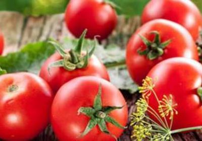 موقع طبي يعدد فوائد الطماطم الصحية على جسم الإنسان