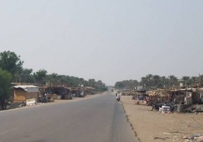 تصعيد عسكري جديد..مليشيات الحوثي تحشد عناصرها نحو الدريهمي بالحديدة