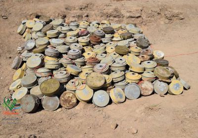 "مسام" &nbsp;يتلف 1600 لغم حوثي في بيحان بشبوة