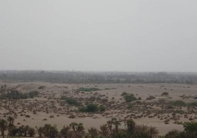 بعد محاولات تسلل.. اشتباكات بين المشتركة ومليشيا الحوثي بالتحيتا