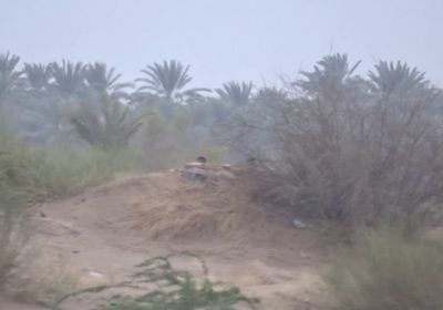 مقطع يوثق انتهاكات مليشيا الحوثي للهدنة الأممية (فيديو)