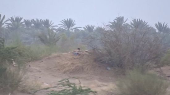 مقطع يوثق انتهاكات مليشيا الحوثي للهدنة الأممية (فيديو)