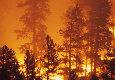 فرق مكافحة الحرائق بأستراليا تستغل تحسن الطقس للسيطرة على حرائق الغابات