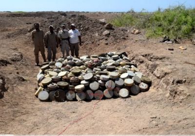 إتلاف أكثر من 7 آلاف لغم حوثي بالساحل الغربي (فيديو)