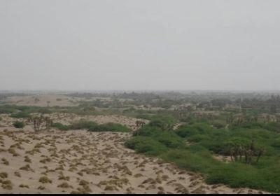 مليشيا الحوثي تجدد خرقها للهدنة بقصف مواقع بالجبلية