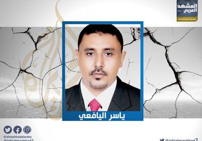 اليافعي: الجزيرة أحد أكبر أدوات الفوضى في الوطن العربي