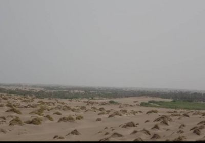 في انتهاك جديد..قصف حوثي مكثف على مواقع "المشتركة" في الجبلية