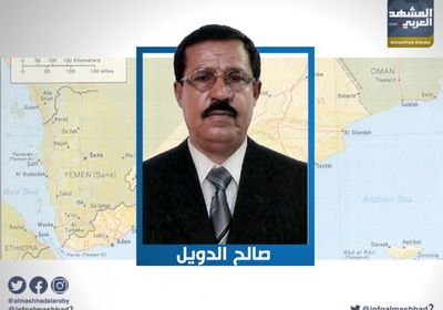 الدويل: لن يتعافى الجنوب إلا في هذه الحالة