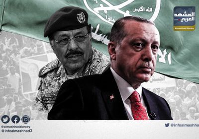 سانيول: تنظيم الإخوان باليمن ومصر عمل على زرع الفتنة لخدمة تركيا  