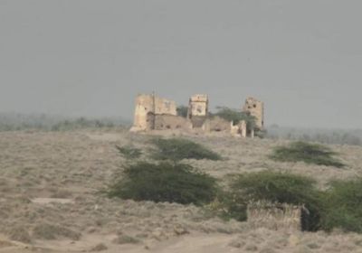 بعد قصف مدفعي.. قناصة الحوثي يهاجمون جنود "المشتركة" في بيت الفقيه