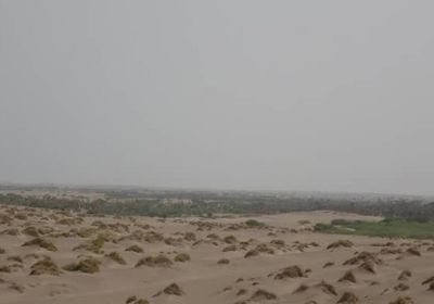 بالقذائف المدفعية..مليشيات الحوثي تقصف مواقع "المشتركة" في الجبلية