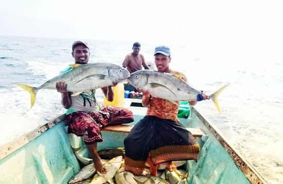 إقرار لائحة للصيد السمكي في سقطرى