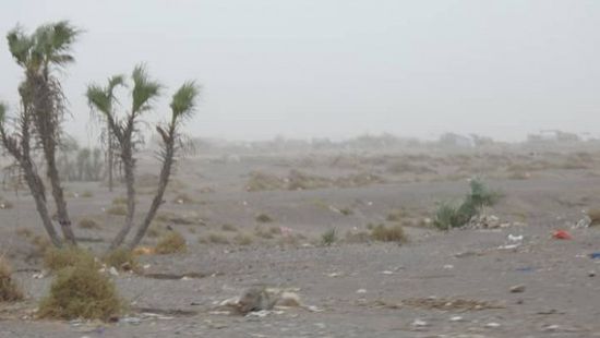 قصف حوثي لمواقع المشتركة بالجبلية ومناوشات في الفازة