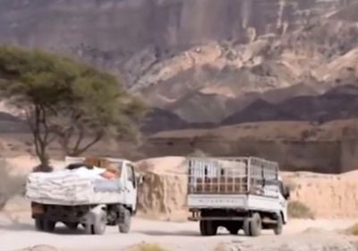 مساعدات إغاثية من الإمارات لأهالي الروضة بشبوة