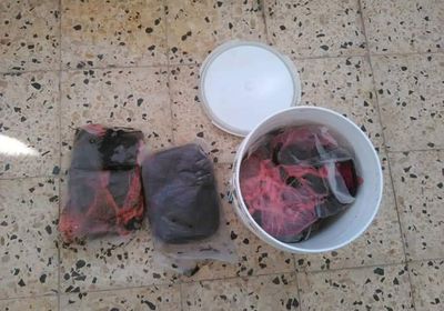 القبض على شخصين بحوزتهما 7 كيلو حشيش مخدر بالمكلا