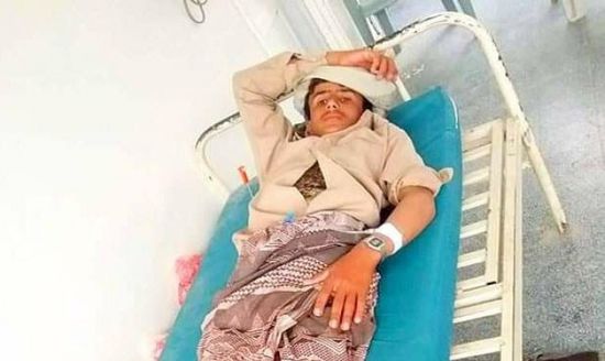 ازدياد حالات الإصابة بإنفلونزا الخنازير وحمى الضنك بشبوة ورعب بين الأهالي