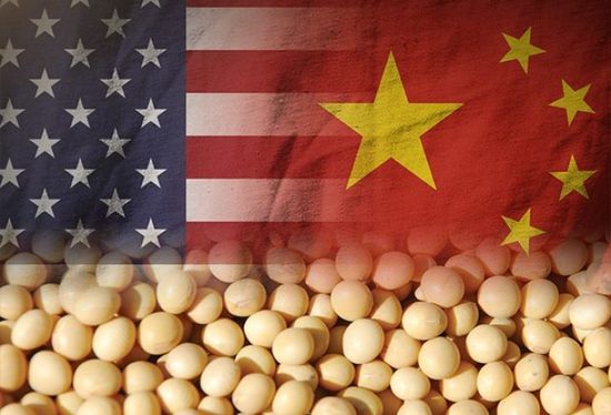  بموجب اتفاق المرحلة الواحد.. الصين تستطيع شراء منتجات زراعية أمريكية بـ40 مليار دولار