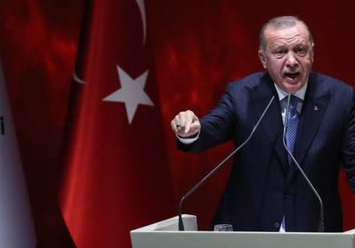 قرقاش يُوجه صفعة مدوية لـ"أردوغان" (تفاصيل)
