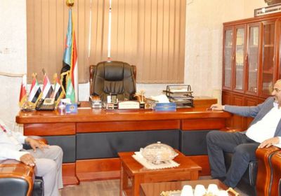 الرئيس الزُبيدي يبحث جهود حماية آثار الضالع من الانتهاكات