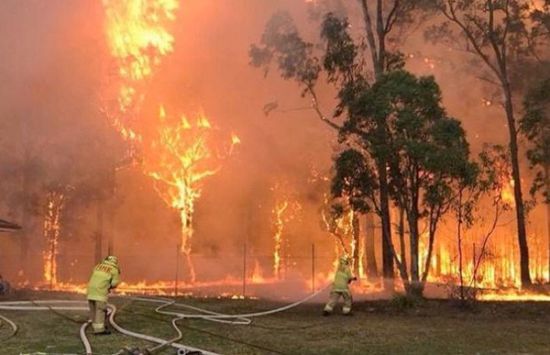 استراليا تستدعي عناصر الجيش للمكافحة في حرائق الغابات