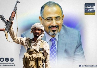 إعلامي سعودي يزف بشرى سارة: 2020 سيكون عام إدارة الدولة الجنوبية