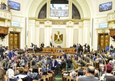 مجلس النواب المصري يدين التدخل التركي في ليبيا
