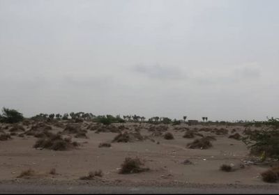 بمدفعية الهاون.. مليشيا الحوثي تخرق الهدنة الأممية بالجبلية