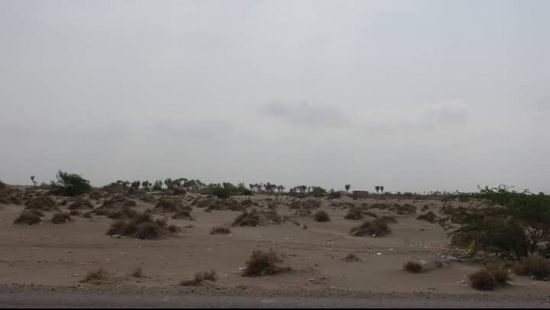 بمدفعية الهاون.. مليشيا الحوثي تخرق الهدنة الأممية بالجبلية