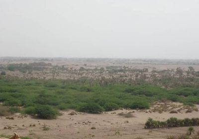 هجوم حوثي من محورين على "المشتركة" في الجبلية