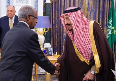 رسميا.. تأسيس مجلس الدول المطلة على خليج عدن بالرياض