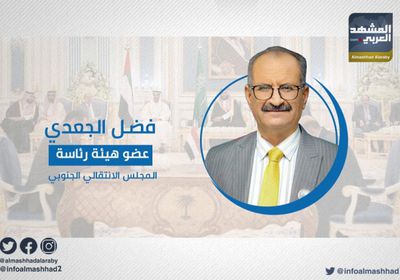 الجعدي عن اتفاق الرياض: لم نسمع موقفًا يطمئن شعبنا