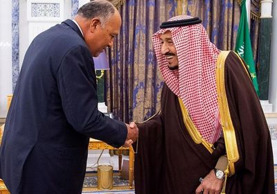 أبو غرارة: "مجلس دول البحر الأحمر وخليج عدن" صمام أمان للمنطقة