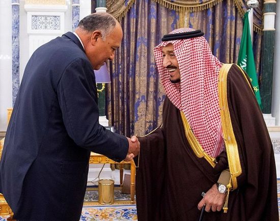 أبو غرارة: "مجلس دول البحر الأحمر وخليج عدن" صمام أمان للمنطقة