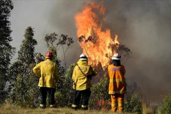 ارتفاع حالات الوفاة جراء حرائق الغابات في أستراليا إلى 26 شخصا