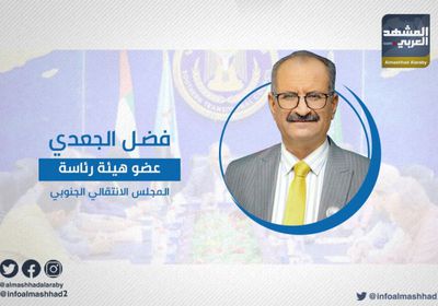 الجعدي يشدد على احترام الانتقالي لعهوده مع التحالف العربي