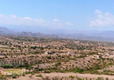 المليشيات الحوثية تُجبر المدنيين بالقتال ضمن صفوفها أو تصفيتهم