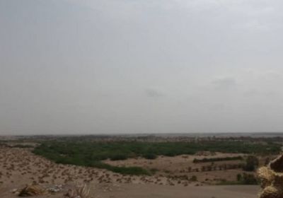 هجمات حوثية متتالية على القوات المشتركة في الجبلية