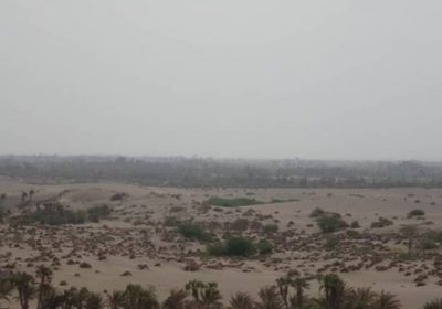 هجمات حوثية متفرقة على الجبلية