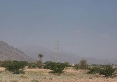 بمختلف القذائف.. مليشيا الحوثي تقصف مواقع المشتركة بحيس