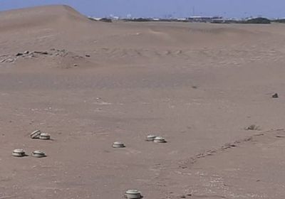 الرياح تدل القوات المشتركة على حقل ألغام حوثي بحي منظر