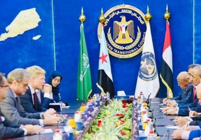 القحطاني مُعلقا على لقاء الرئيس الزبيدي بوفد الاتحاد الأوروبي: نصر جديد للجنوبيين