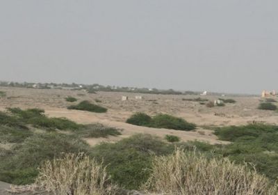 مليشيا الحوثي تناوش القوات المشتركة في الجاح