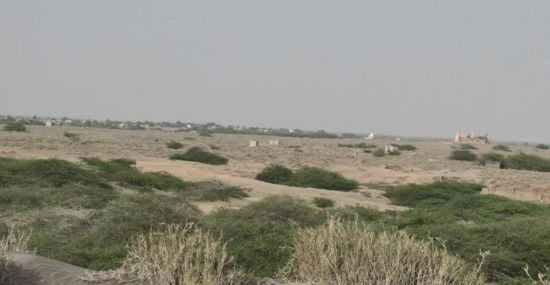 مليشيا الحوثي تناوش القوات المشتركة في الجاح