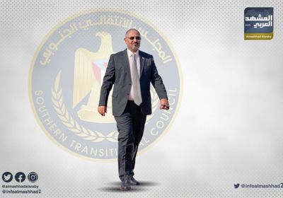 الربيعي: المجلس الانتقالي أثبت أنه يسير بخطوات مدروسة