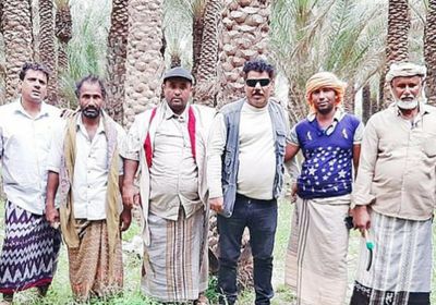 "خليفة الإنسانية": قرية قيسو بقلنسية خالية من سوسة النخيل الحمراء(صور)