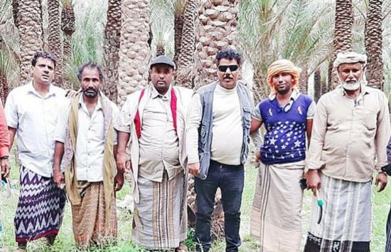 "خليفة الإنسانية": قرية قيسو بقلنسية خالية من سوسة النخيل الحمراء(صور)