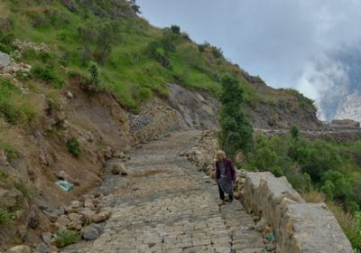 "الغذاء العالمي" يشق 3 طرق جديدة في المحويت