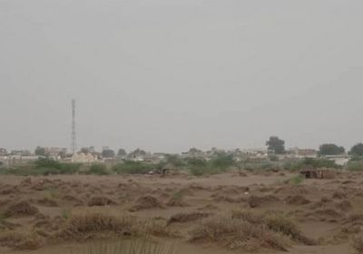 الهاون الحوثي يستهدف مسجدًا في التحيتا