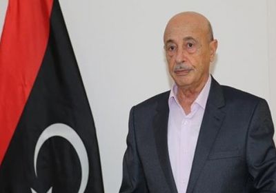 رئيس البرلمان الليبي: شعبنا لن يقبل بالتدخل التركي